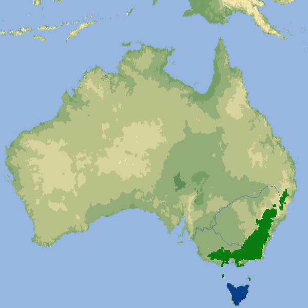 102 002 007 001 sarcophilus harrisii map2