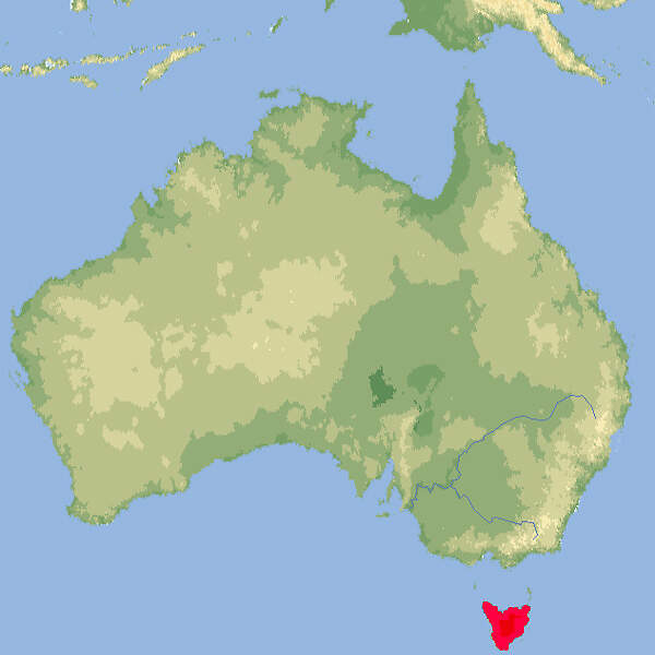 102 002 015 001 Thylacinus cynocephalus map