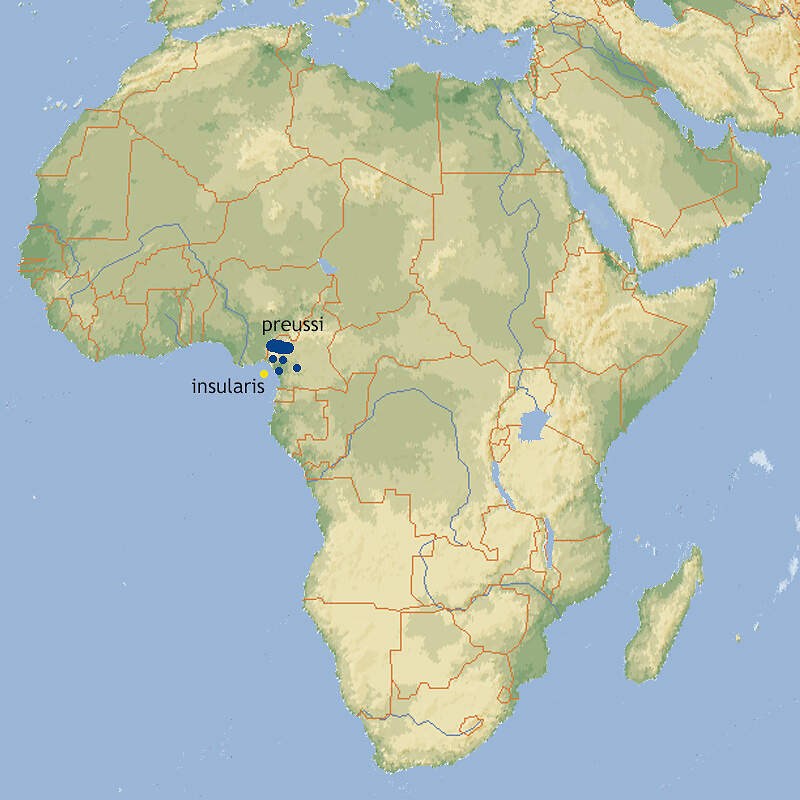 106 008 002 010A cercopithecus preussi map