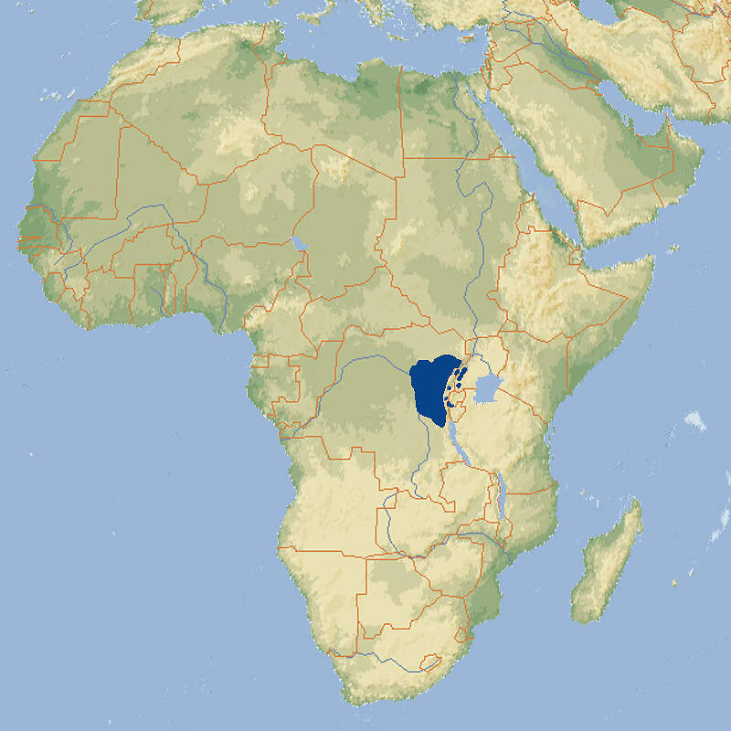 106 008 002 010 cercopithecus lhoesti map