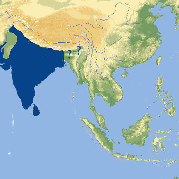 108 001 001 001 manis crassicaudata map