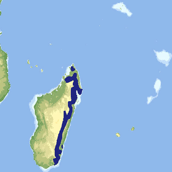 112 005 016 001 fossa fossana map