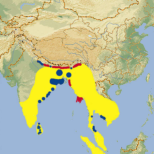 112 007 001 029 prionailurus viverrinus map