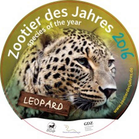 ZootierdesJahres leopard1