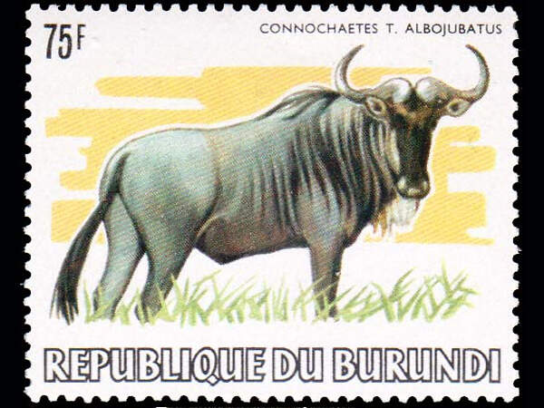 119 009 013 002 connochaetes t albojubatus stamp BU