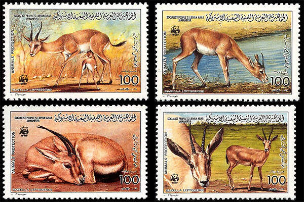 119 009 025 006 gazella leptoceros stamp libya