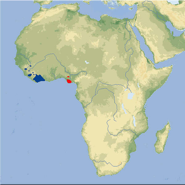 119 003 001 001 choeropsis liberiensis map