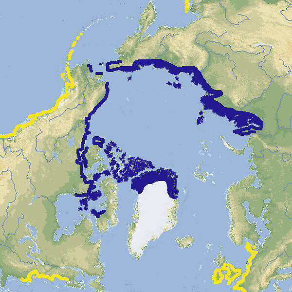 212 002 003 002 branta bernicla map