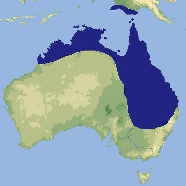 218 003 007 002 aprosmictus erythropterus map