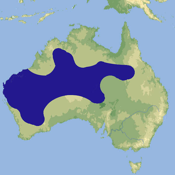 303 016 001 009 varanus giganteus map