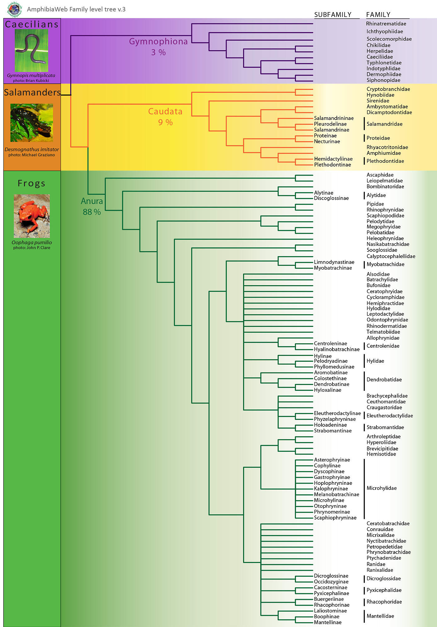 400 000 000 001 taxonomic tree