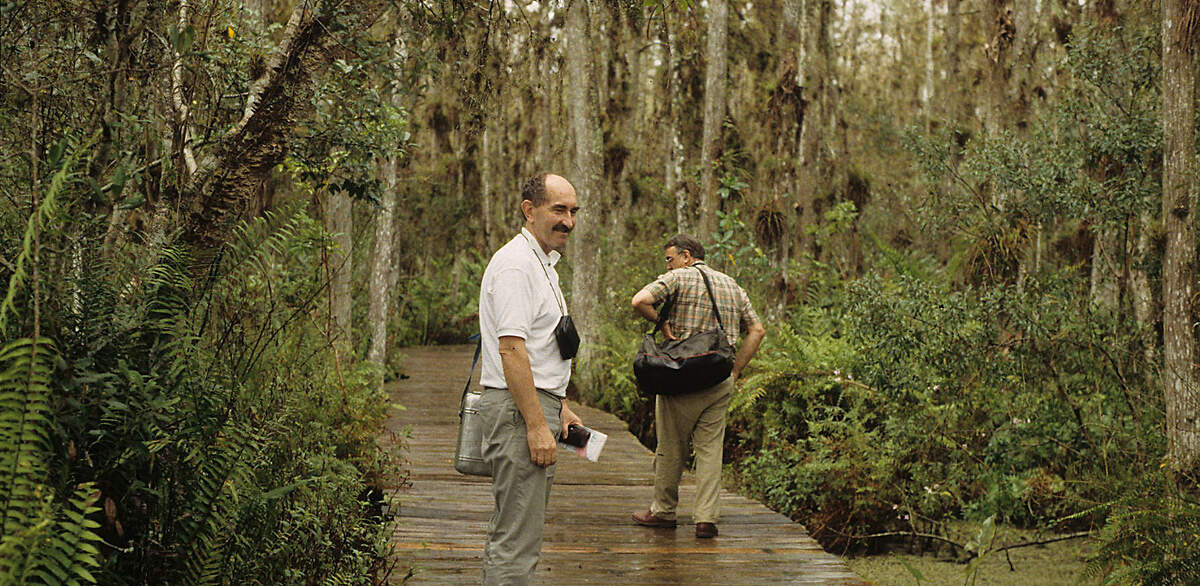 NAM 10 loxahatchee boardwalk