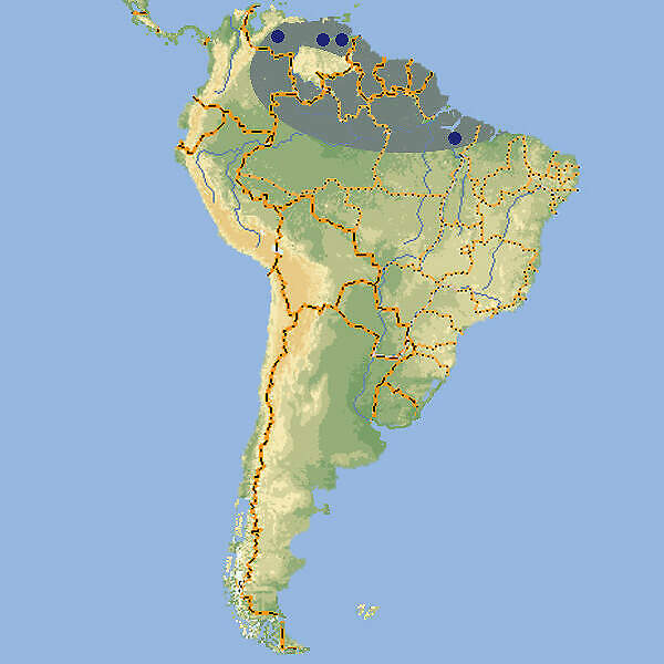 517 026 003 001 phractocephalus hemioliopterus map