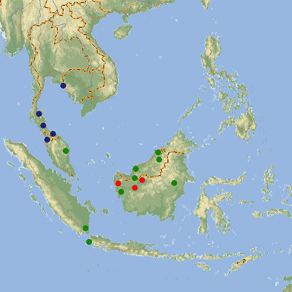 517 029 010 003 kryptopterus map