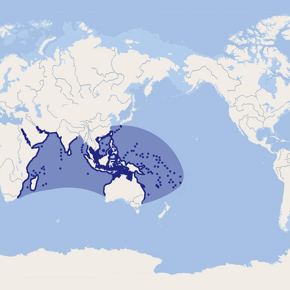 535 022 040 004 trachinotus blochii map