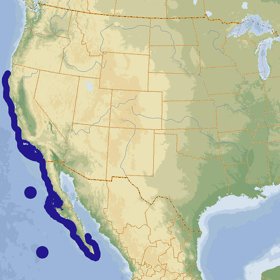 535 111 017 001 Hypsypops rubicundus map