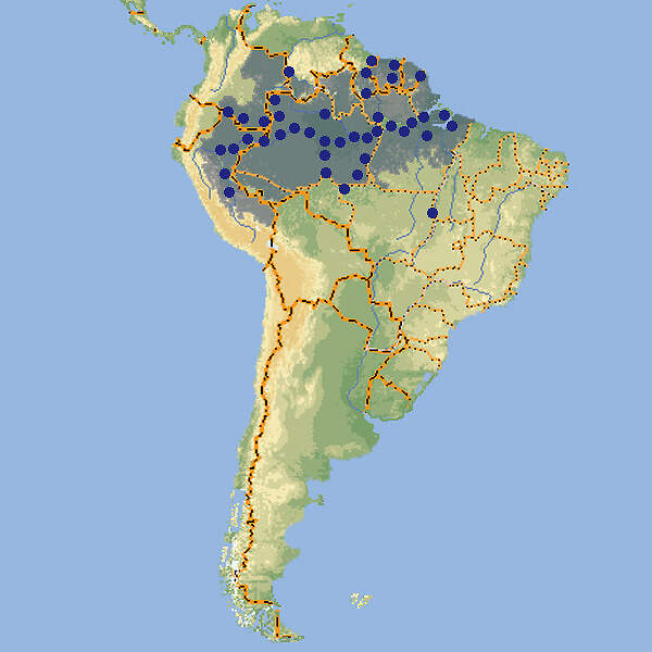 535 036 063 003 pterophyllum scalare map