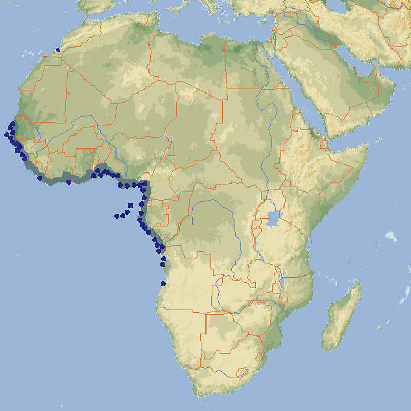 535 056 125 002 periophthalmus barbarus map