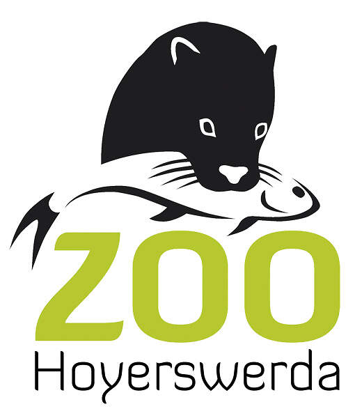 DE HOYERSWERDA 2018