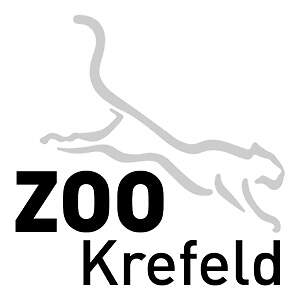 DE KREFELD 300