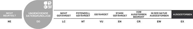 Red list status data deficient